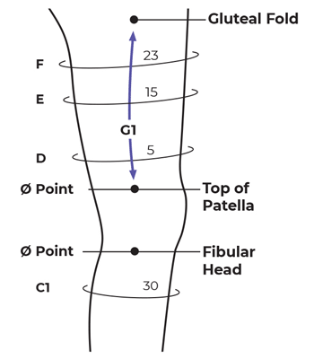 Sizing Image