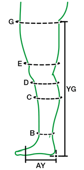 Sizing Image